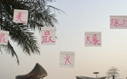 大連戰(zhàn)申花，門票半小時(shí)售完，馬萊萊VS米內(nèi)羅精彩PK。
