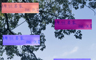 梅州客家連遭錯(cuò)判，兩年戰(zhàn)上海雙雄不利。