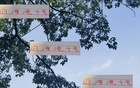 巴爾加斯助新東家保級(jí)，中超外援價(jià)值顯！