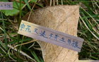 申花帥哥特謝拉、蔣圣龍未隨隊(duì)赴深圳。