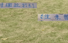 申花特謝拉缺席，國家隊無礙，反傷家中兩人。