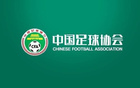 裁判錯判：浙江進球被取消；薩里奇應被罰下