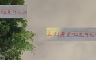 萊納多進50球，歸化刻不容緩，否則恐敗馬來西亞。