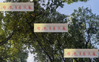 海港青春風暴，李新翔領(lǐng)銜，大連賽進球助攻顯身手！