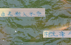 申花新星赤幾表現(xiàn)佳，張玉寧級地位，實力非水貨。