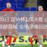 06月20日 足協(xié)杯1/8決賽 山東泰山vs成都蓉城 全場錄像回放