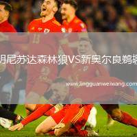 明尼蘇達(dá)森林狼VS新奧爾良鵜鶘