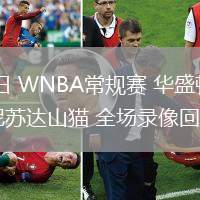07月04日 WNBA常規(guī)賽 華盛頓神秘人vs明尼蘇達(dá)山貓 全場錄像回放