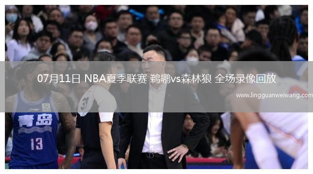 07月11日 NBA夏季聯(lián)賽 鵜鶘vs森林狼 全場(chǎng)錄像回放