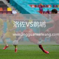 洛佐VS鵜鶘