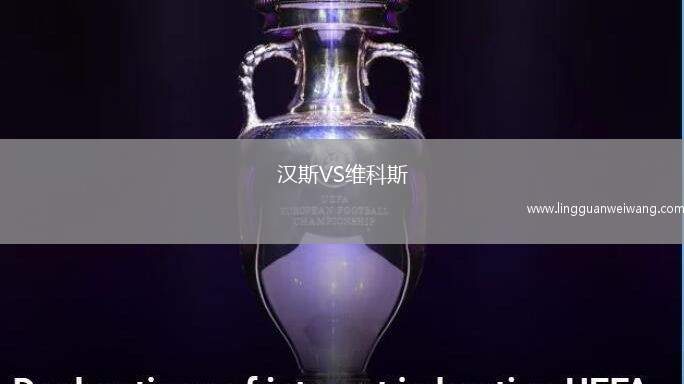 漢斯VS維科斯