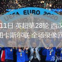 03月11日 英超第28輪 西漢姆聯(lián)vs紐卡斯爾聯(lián) 全場錄像回放
