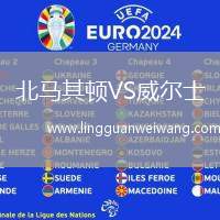 北馬其頓VS威爾士
