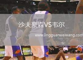 沙夫豪森VS韋爾