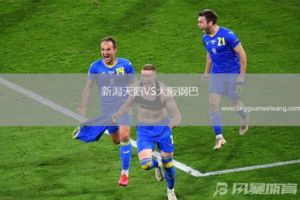 新潟天鵝VS大阪鋼巴