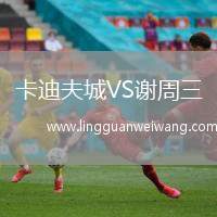 卡迪夫城VS謝周三