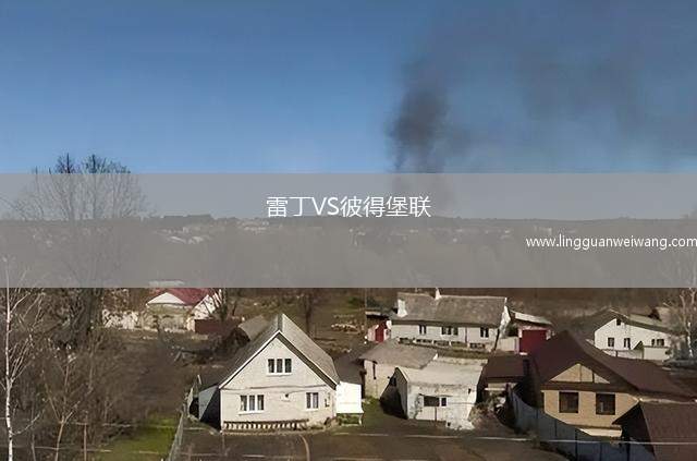 雷丁VS彼得堡聯(lián)