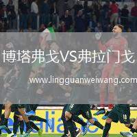博塔弗戈VS弗拉門戈