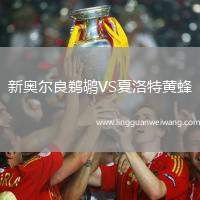 新奧爾良鵜鶘VS夏洛特黃蜂