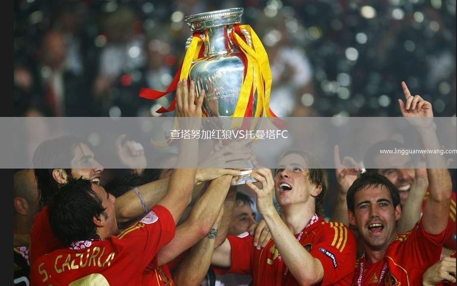 查塔努加紅狼VS托曼塔FC
