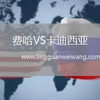 費哈VS卡迪西亞