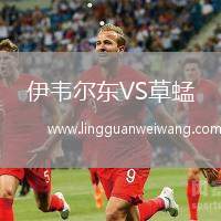 伊韋爾東VS草蜢