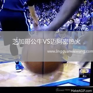 芝加哥公牛VS邁阿密熱火