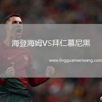 海登海姆VS拜仁慕尼黑