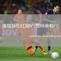 查塔努加紅狼VS格林維勒FC