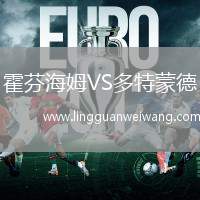 霍芬海姆VS多特蒙德