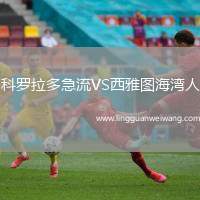 科羅拉多急流VS西雅圖海灣人