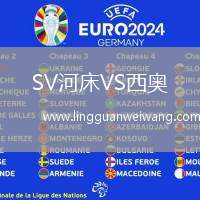 SV河床VS西奧