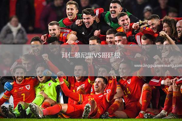 拜仁慕尼黑VS哥廷根