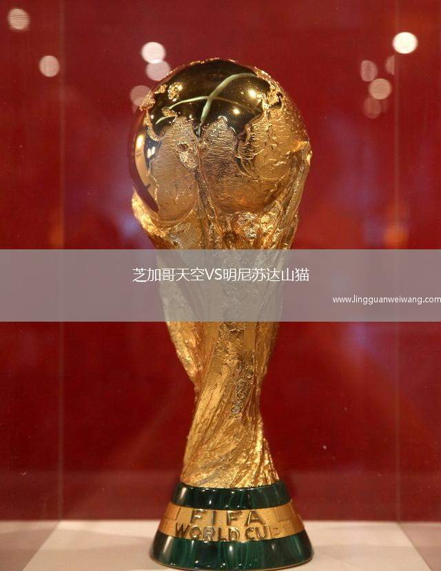 芝加哥天空VS明尼蘇達(dá)山貓