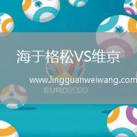 海于格松VS維京