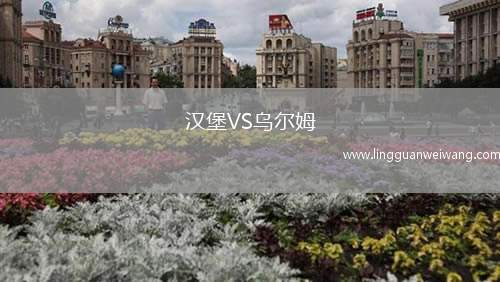 漢堡VS烏爾姆