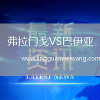 弗拉門戈VS巴伊亞