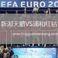 新潟天鵝VS浦和紅鉆