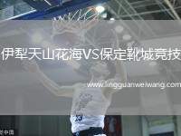 伊犁天山花海VS保定靴城競(jìng)技