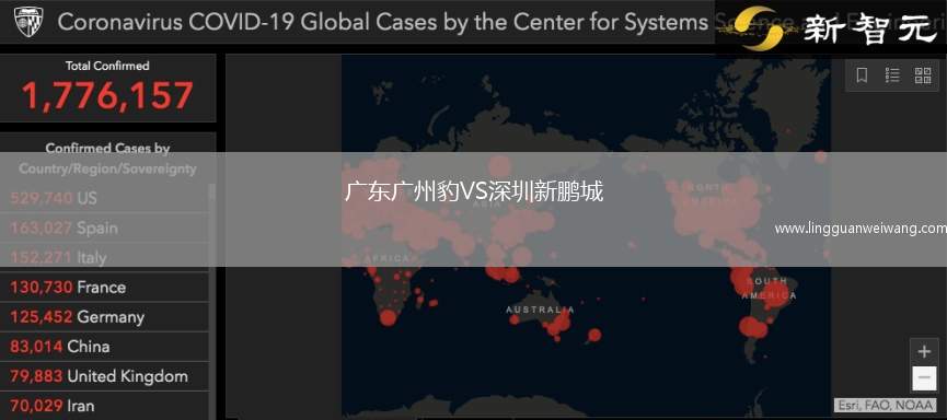 廣東廣州豹VS深圳新鵬城