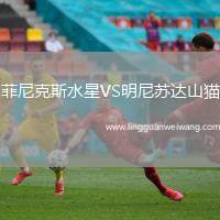 菲尼克斯水星VS明尼蘇達(dá)山貓