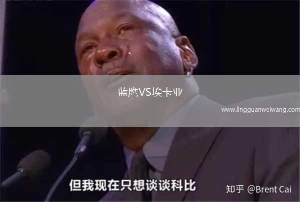 藍(lán)鷹VS?？▉?> </div>
              <article class=