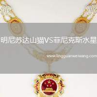 明尼蘇達(dá)山貓VS菲尼克斯水星