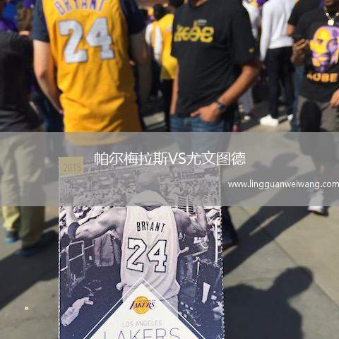 帕爾梅拉斯VS尤文圖德