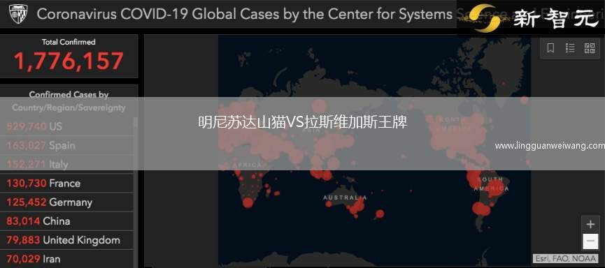 明尼蘇達山貓VS拉斯維加斯王牌