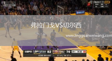 弗拉門戈VS切爾西