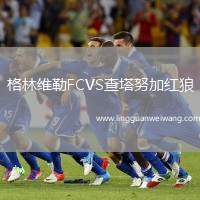 格林維勒FCVS查塔努加紅狼