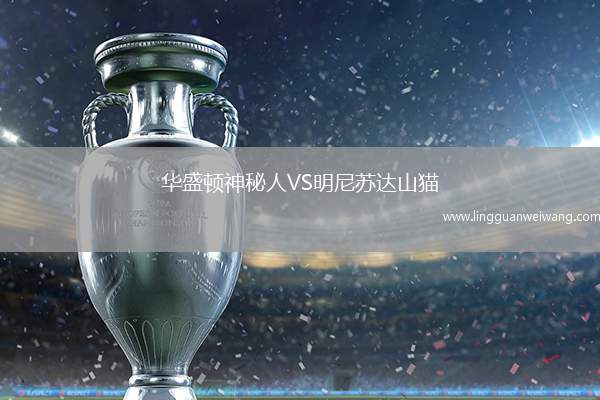 華盛頓神秘人VS明尼蘇達(dá)山貓