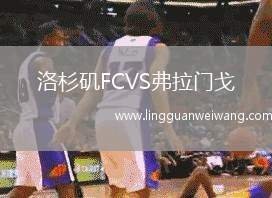 洛杉磯FCVS弗拉門戈