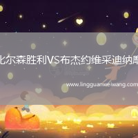 比爾森勝利VS布杰約維采迪納摩
